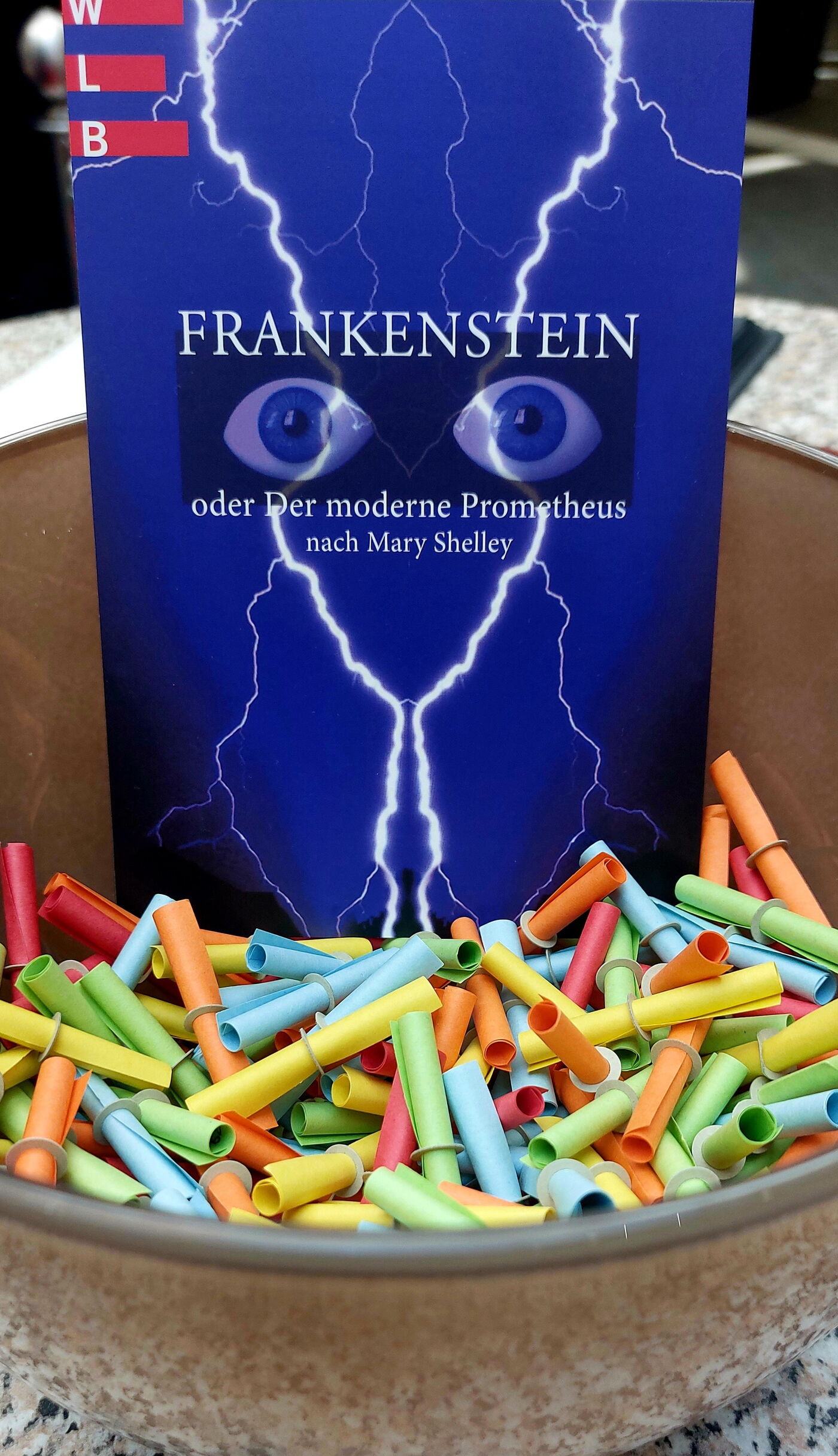 Flyer WLB Frankenstein